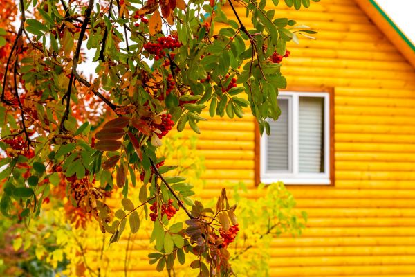Garden Window Replacement in Saugerties